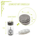 Natur Zahnseide im Glas - Flakon - Hochwertig, nachhaltig und stilvoll | Grüner Gedanke