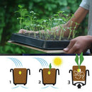 Saatgutschale/Pflanzschale aus Naturkautschuk - Hochwertig, nachhaltig und stilvoll | Grüner Gedanke